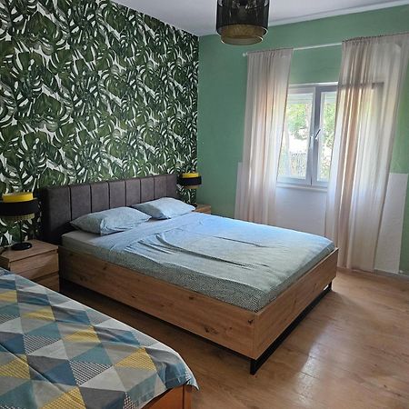 Apartmani Ljuba روغوزنيكا المظهر الخارجي الصورة